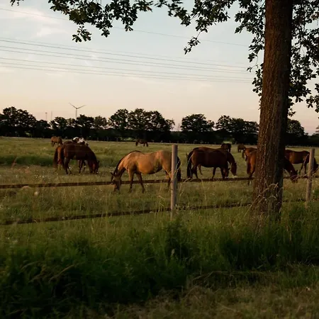 Moderne Mit Seeblick & Terrasse 96qm Lägenhet