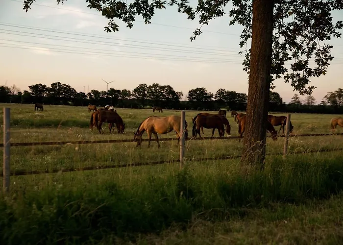 Moderne Mit Seeblick & Terrasse 96qm Apartament