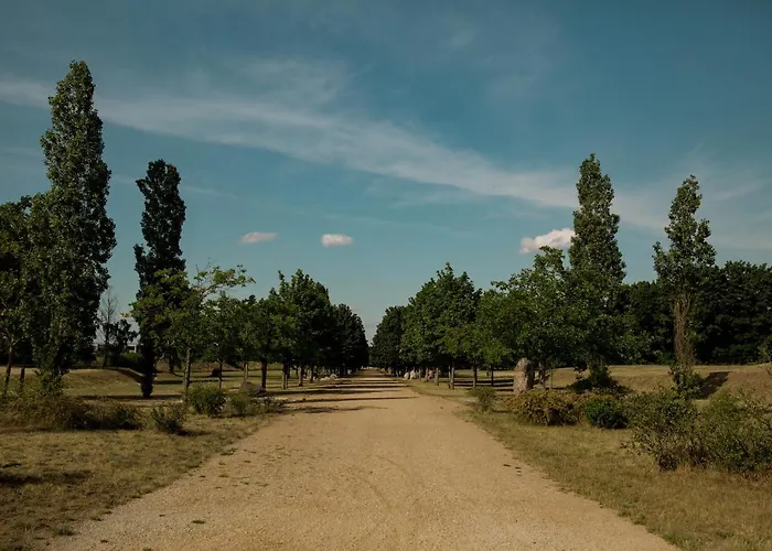 Apartament Moderne Mit Seeblick & Terrasse 96qm Grossraeschen